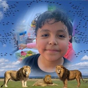 Meet your Posher, Adrian